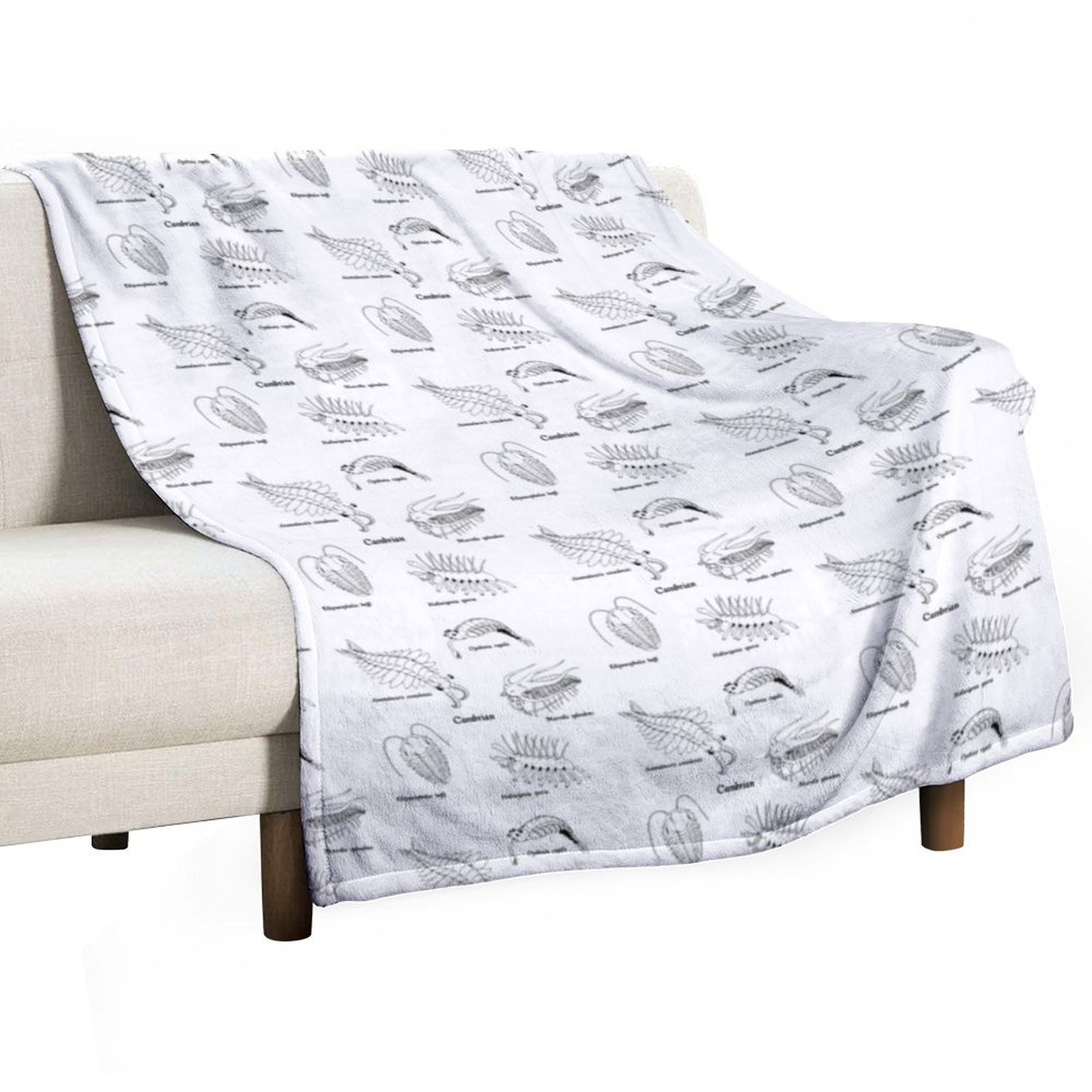 Luxury Lifestyle Hotel - Cambrian Life (Textbook Style Font) Throw